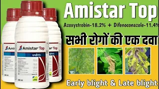 amistar top syngenta amistar top amistar top fungicide