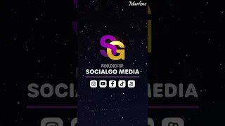 Paloma se convierte en angel para salvar a esta c¡εgα