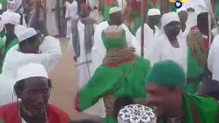 عبد الله الحبر ــ سيب المجالس 