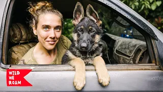 A Simple Day in the Life