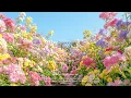 💿 K-POP 여자 아이돌 노래 모음 | 신나게, 최신곡 포함 | 케이팝 playlist