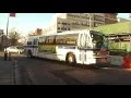 NYCT Bus Nova Bus RTS 4913 Q83 Local Bus 165th Avenue