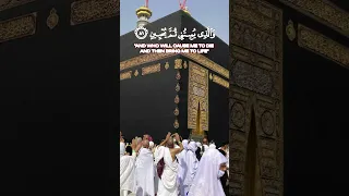 احمد خضر ماتيسر من سورة الشعراء Short  احمد خضر ماتيسر من سورة الشعراء Short