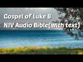 Luke 8 NIV Bible with text