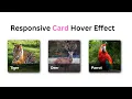 Animated Card Hover Effects using HTML and CSS Tutorial Free Source Code