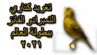 تغريد كناري التمبرادو الفائزبطولة العالم 2021 Canary Temprado Winner Of The 2021 World Championship 