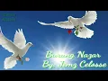 Download Lagu #rohani #lagu_rohani_kristen BURUNG NAZAR By Jemz celosse