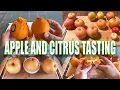 APPLE AND CITRUS TASTING and REVIEW MEGAMIX OVER 1 HOUR of AMAZING FRUIT