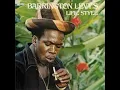 Barrington Levy Girl I Love You