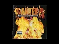 Download Lagu Pantera - Uplift
