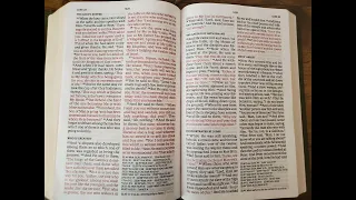 NASB Book of Luke Chapter 22