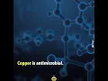 Copper against Virus and Bacteria