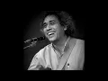 Download Lagu Iwan Fals - Celoteh Camar Tolol \u0026 Cemar