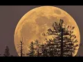 Download Lagu Ничто не вечно под Луной