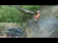 Download Lagu Cari ikan di sawah dan sungai yang kekeringan dapat ikan betutu ikan keting ikan nila ikan papuyu