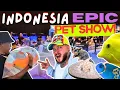 Download Lagu Inside Indonesia’s Epic Pet Show | Nusatic Nusapet 2025 | 𝐅𝐫𝐨𝐦 𝐓𝐡𝐞 𝐎𝐜𝐞𝐚𝐧 𝐭𝐨 𝐎𝐮𝐫 𝐀𝐪𝐮𝐚𝐫𝐢𝐮𝐦 - 𝐄𝐩𝐢𝐬𝐨𝐝𝐞 𝟐