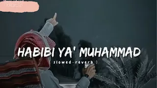 habibi ya muhammad arabic naat new arabic naat with lyrics slow and reverb