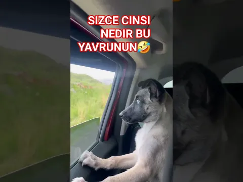 Herkese selamlar arkadaşlar #automobile #724hizmet #724hizmet