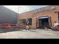 Best Dog Training Toledo Ohio 7 Month Old Great Dane Fred