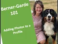 Berner-Garde 101 How to add photos to your dog s profile