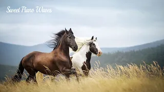 Beautiful Relaxing Piano Music Peaceful Soothing Relaxation Music And Beautiful Horses 