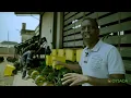 Download Lagu OYSADA Team's Visit to Niji Agro Solutions, Apata, Ibadan \u0026 Interview with CEO, Mr Kolawole Adeniji