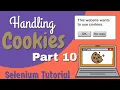 Selenium tutorial for beginners part 10 Handling Cookies What is a cookie