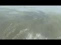 LOW TIDE REVEALS 80 000-YEAR-OLD FOSSIL in Myrtle Beach