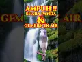 Download Lagu TERAPI SUARA KENARI PANDA DAN GEMERICIK AIR | CANARY SINGING