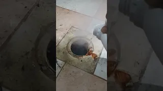 كيف تستخدم اسيد في المجاري 