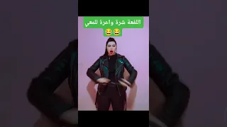 اللفعة خطيرة وترسل شرة واعرة للمعي ياسين الكرافاش يهدر مافيا Funny Humour Explore 