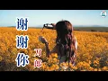 Download Lagu 【FMV】刀郎 Dao Lang【谢谢你 Thank You】