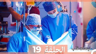 مسلسل نبضات قلب الحلقة 19 
