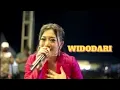 Download Lagu SUSI NGAPAK - WIDODARI Bareng Kang Ipin