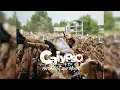 Ski Aggu - Party Sahne (Calypso Hardtekk Remix)