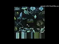 El Búho - Mañana Tepotzlan