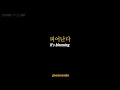Stray Kids (스트레이 키즈) – Waiting For Us (피어난다) | Lyrics / 가사 + black background [Han, Eng, Rom]