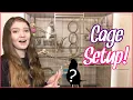 How to Set Up Your Parrot s Cage Bird Cage Setup