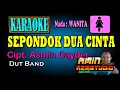 Download Lagu SEPONDOK DUA CINTA KARAOKE Nada WANITA
