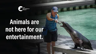 marine animals held captive and forced to peform sea world