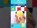 Fruit Classifier on the Web