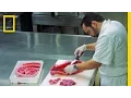 Hunting and Eating Invasive Iguanas National Geographic