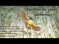 Download Lagu Em meio ao Verde Uniforme (Econtos 16)