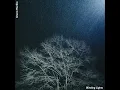 Blinding Lights
