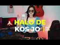 Lagu ORA ORUS _ HALO DE KOS JO?? _ BASS SENTAK _ ARMANDO AMANGA _ 2025