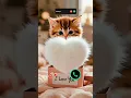 Download Lagu #ringtone #cat #funnycallringto #callm #iphoneringtone #funny #smartphone #irringtone #iphone #song