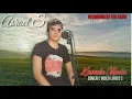 Download Lagu Kawula Muda Cipt. H. Rhoma Irama Cover By Asroel S. With Video Lirik