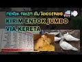 Download Lagu CARA KIRIM ENTOK KE LUAR KOTA by MentokPakem