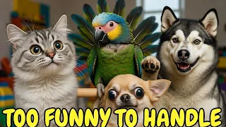 Cutest Animals Doing the Dumbest Things Ever