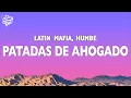 Download Lagu LATIN MAFIA, Humbe - Patadas de Ahogado (Letra/Lyrics)